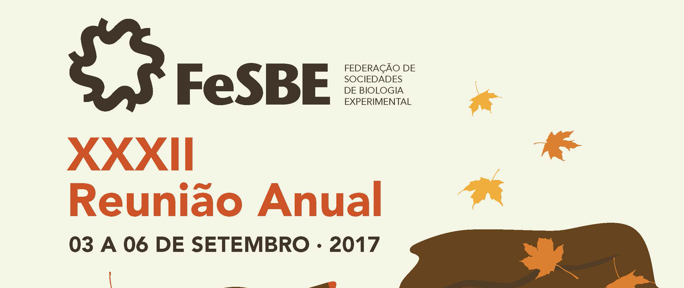fesbe anual 2017 2.jpg