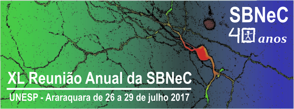 sbnec 2017.jpg