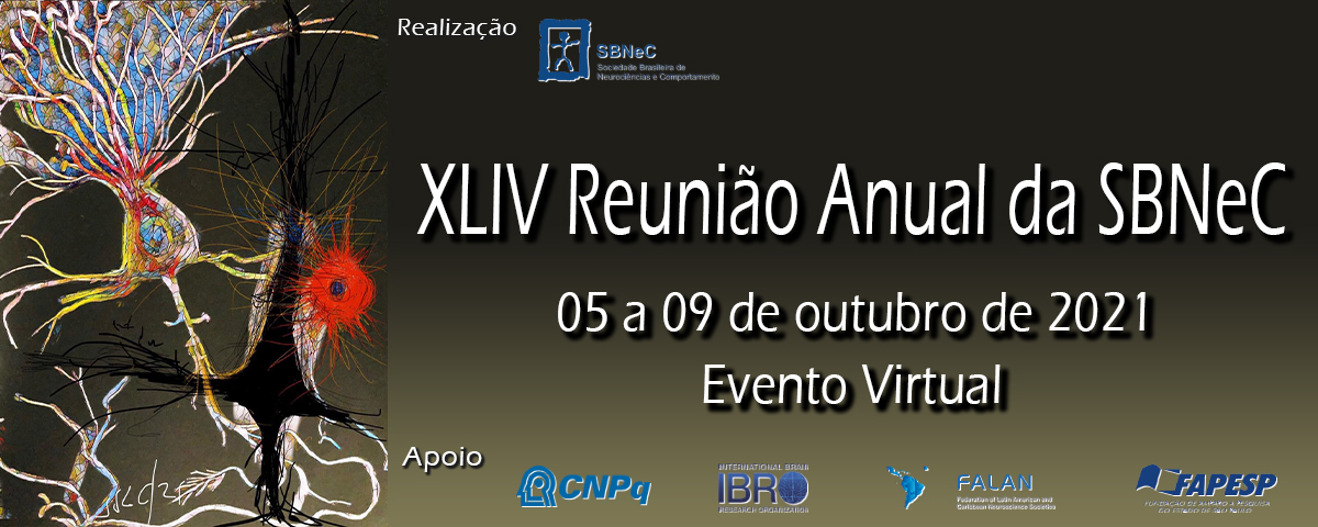 Sbnec anual 2021 banner 3.jpg