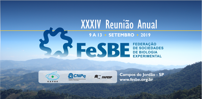fesbe anual 2019.png