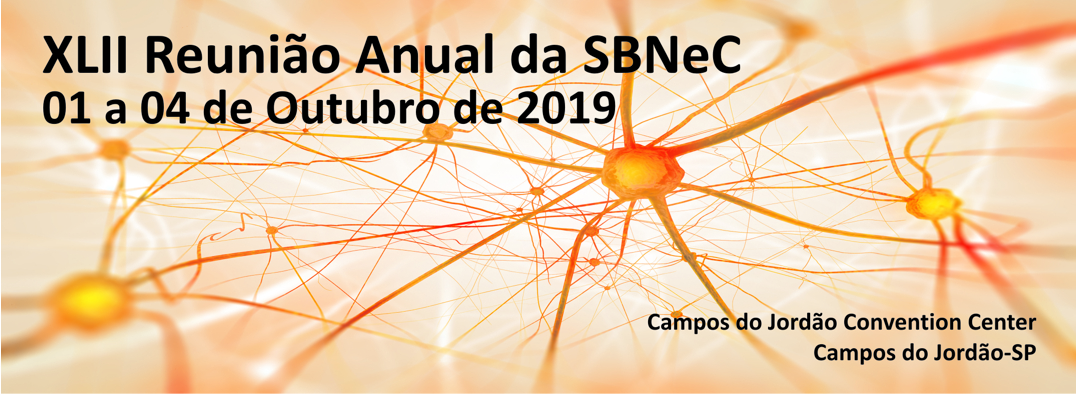 sbnec 2019 banner.jpg